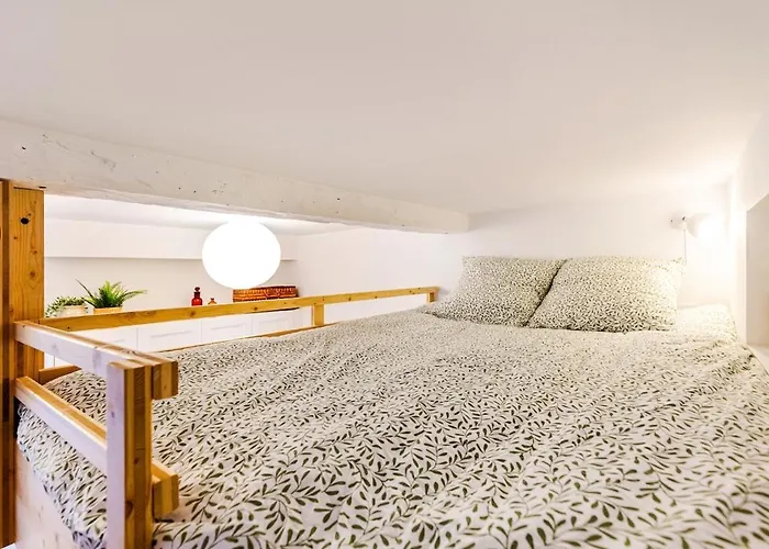 Cosy 5min A Pied Du Sanctuaire Et Grotte Lourdes