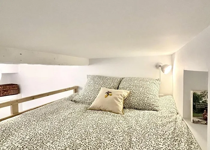 Cosy 5min A Pied Du Sanctuaire Et Grotte Appartement Lourdes